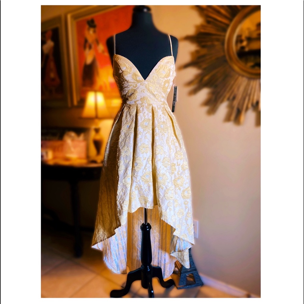 Trixxi Clothing Company Dress